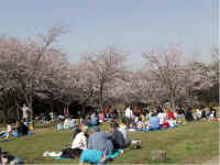 shikinomori2.jpg (63903 �o�C�g)