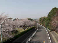 shikinomori5.jpg (48861 �o�C�g)