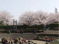 shikinomori6.jpg (60209 �o�C�g)