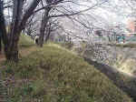 wpeA.jpg (65826 oCg)
