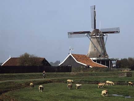 �A���X�e���_��