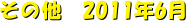 ̑@2011N6