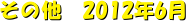 ̑@2012N6