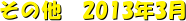 ̑@2013N3