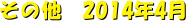 ̑@2014N4