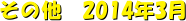 ̑@2014N3