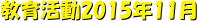 犈2015N11