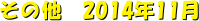 ̑@2014N11
