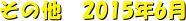 ̑@2015N6