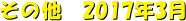 ̑@2017N3