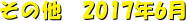 ̑@2017N6