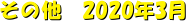 ̑@2020N3