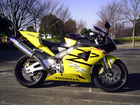 Cbr 954rr